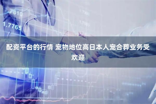 配资平台的行情 宠物地位高日本人宠合葬业务受欢迎