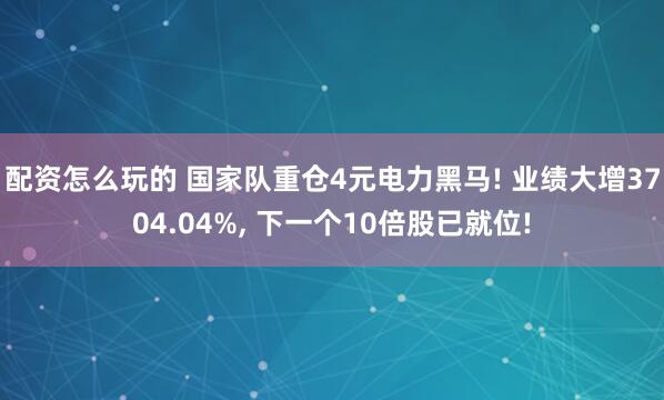 配资怎么玩的 国家队重仓4元电力黑马! 业绩大增3704.04%, 下一个10倍股已就位!