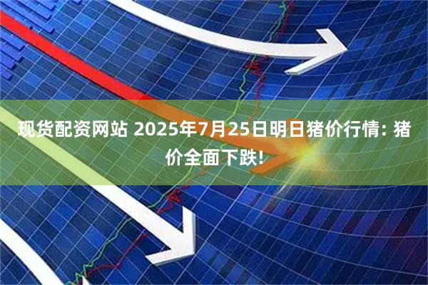 现货配资网站 2025年7月25日明日猪价行情: 猪价全面下跌!