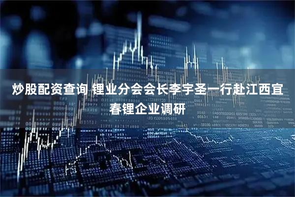 炒股配资查询 锂业分会会长李宇圣一行赴江西宜春锂企业调研