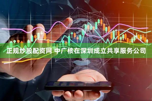 正规炒股配资网 中广核在深圳成立共享服务公司