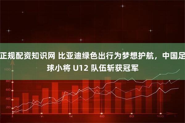 正规配资知识网 比亚迪绿色出行为梦想护航，中国足球小将 U12 队伍斩获冠军